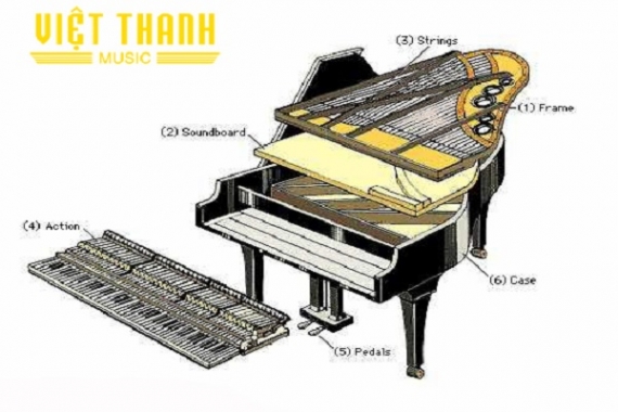 Khám Phá Về Cấu Tạo Đàn Piano